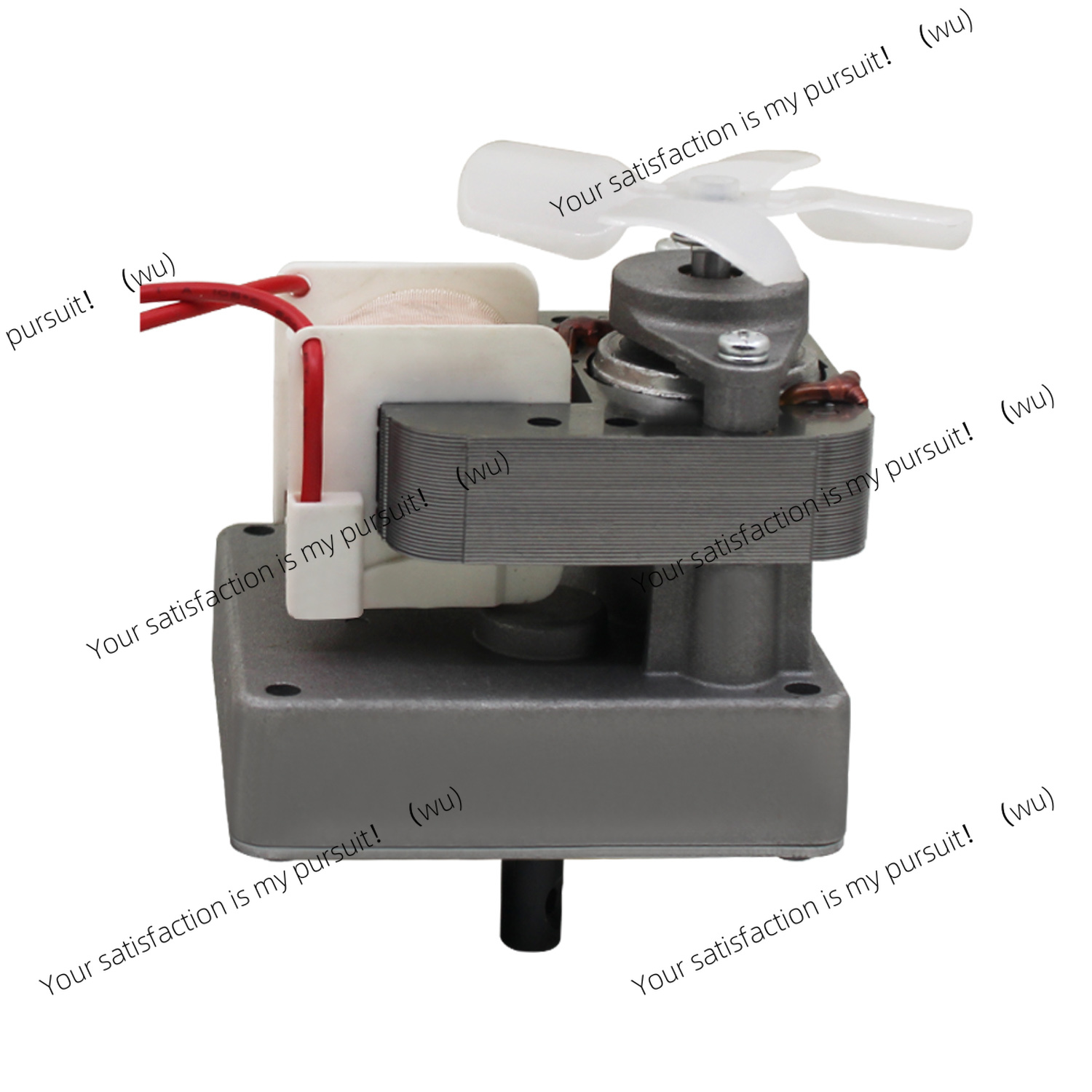 220V 2.0 rpm Replacement Auger - огляд і ціна Electric Smoker Bbq
