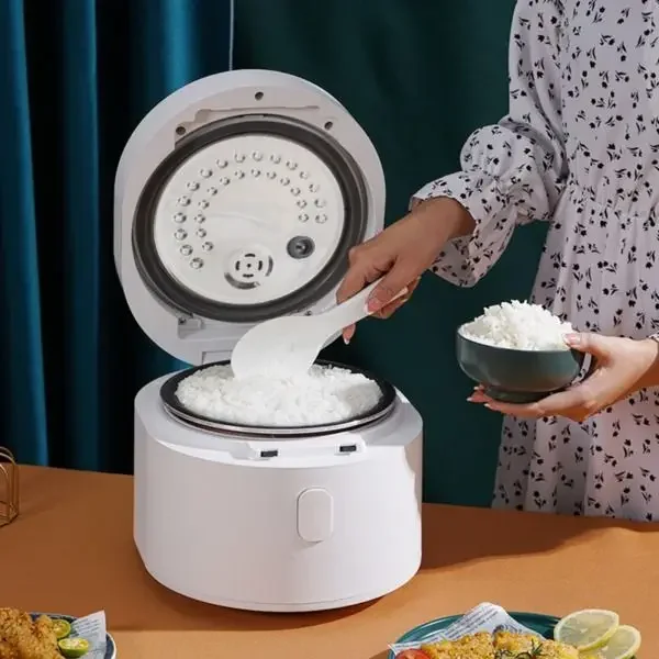 110v smart Rice cooker 3L rice - огляд і ціна Kitchen Appliances Canada